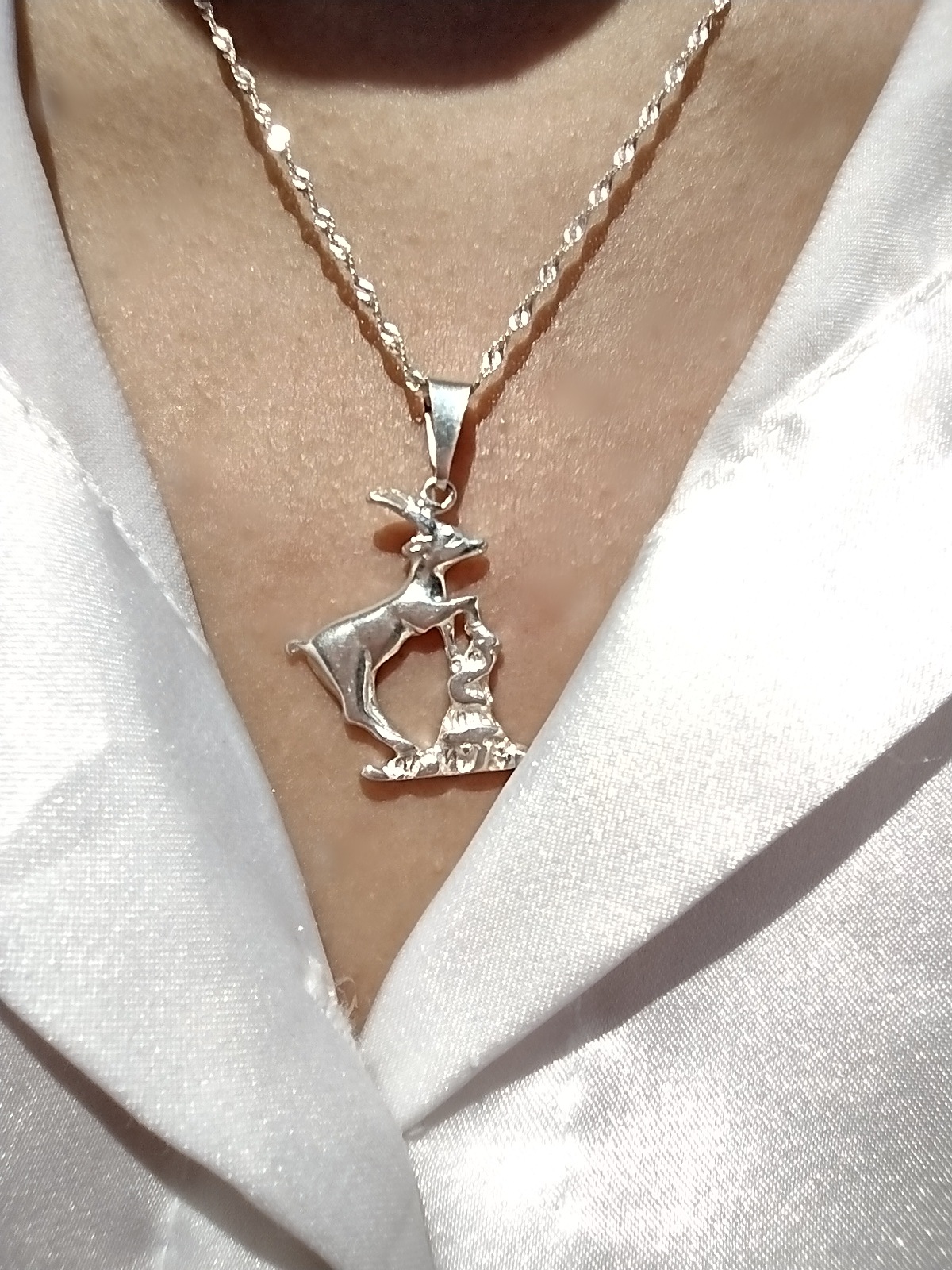 Dije Zodíaco Capricornio - Plata 925 - Imagen 3