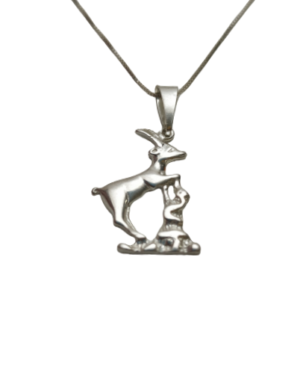 Dije Zodíaco Capricornio - Plata 925