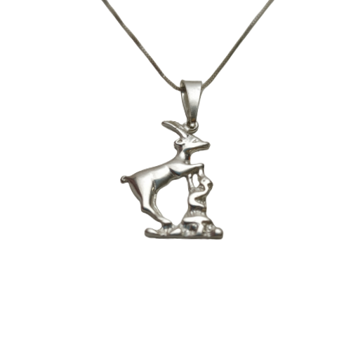 Dije Zodíaco Capricornio - Plata 925